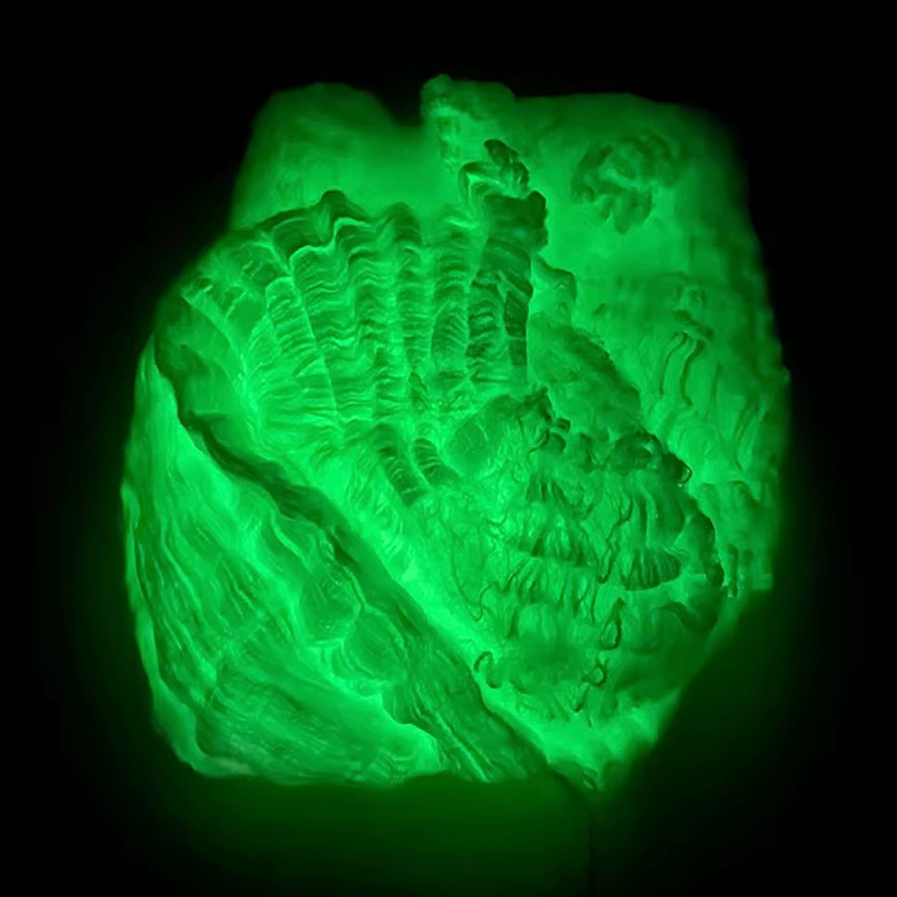 Glow in the Dark Spinnenweb