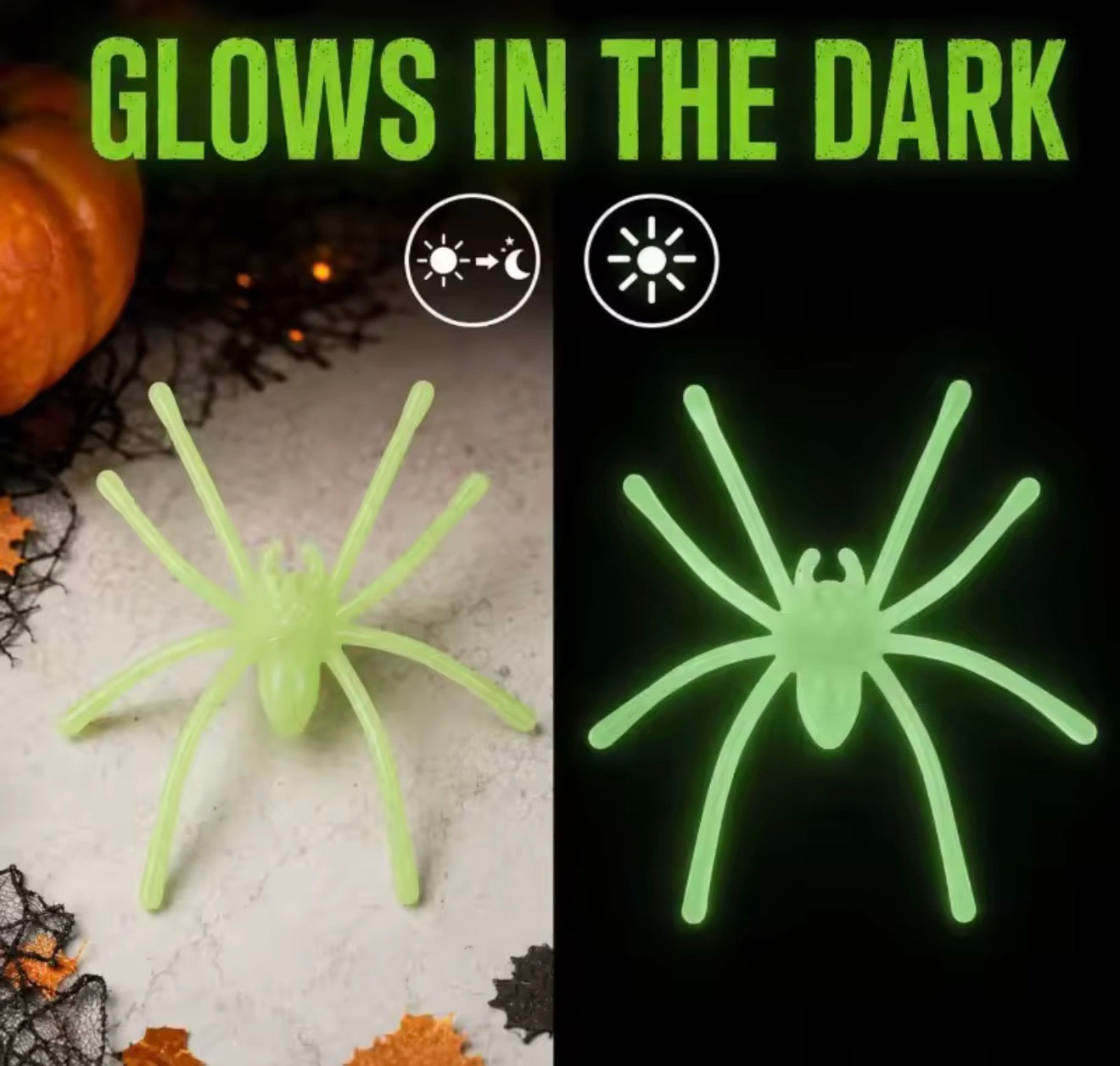 Glow In The Dark Spinnen