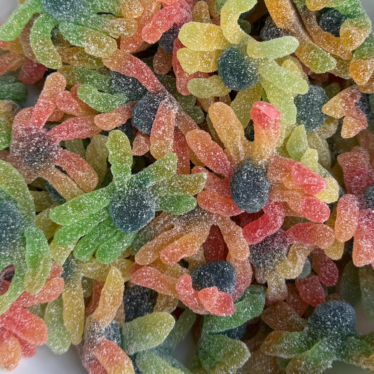Zure Octopus