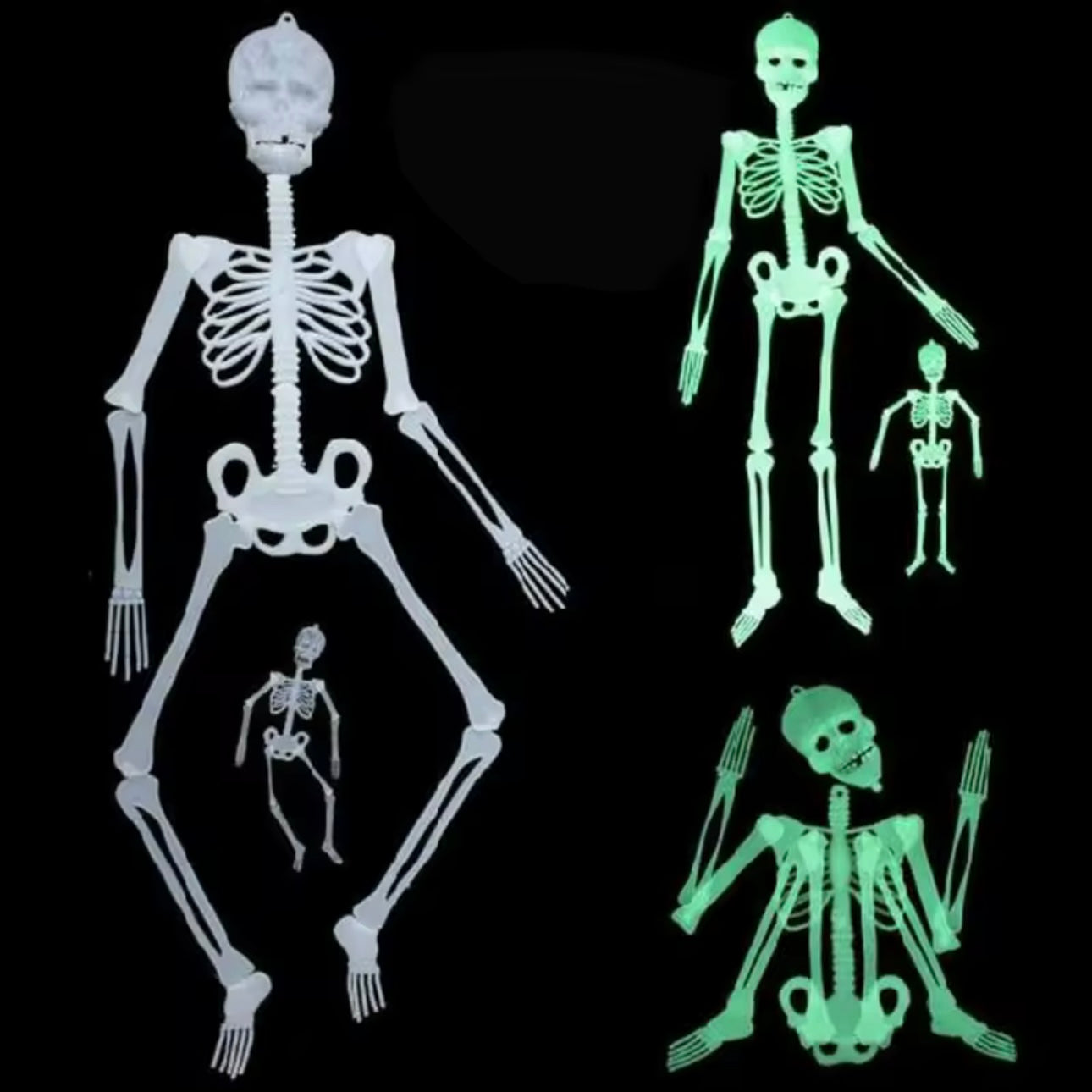 Skelet